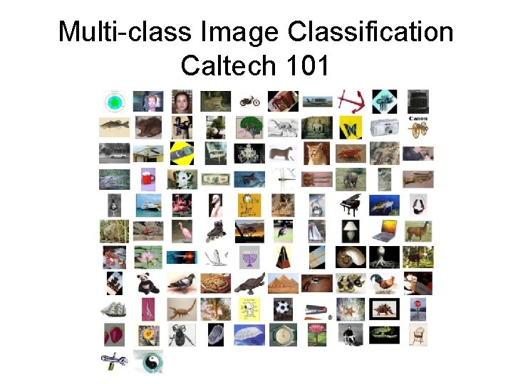 Multi-class Image Classification Caltech 101 