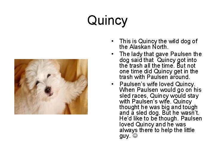 Quincy • This is Quincy the wild dog of the Alaskan North. • The