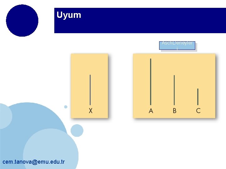 Uyum Asch. Deneyler i cem. tanova@emu. edu. tr 