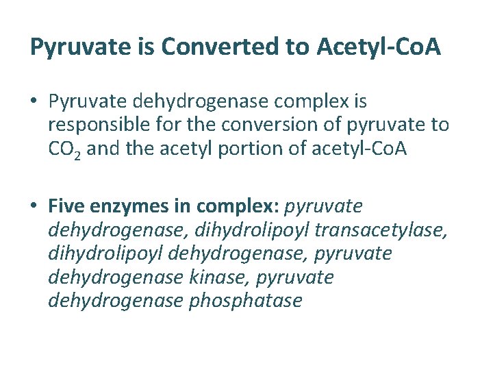Pyruvate is Converted to Acetyl-Co. A • Pyruvate dehydrogenase complex is responsible for the