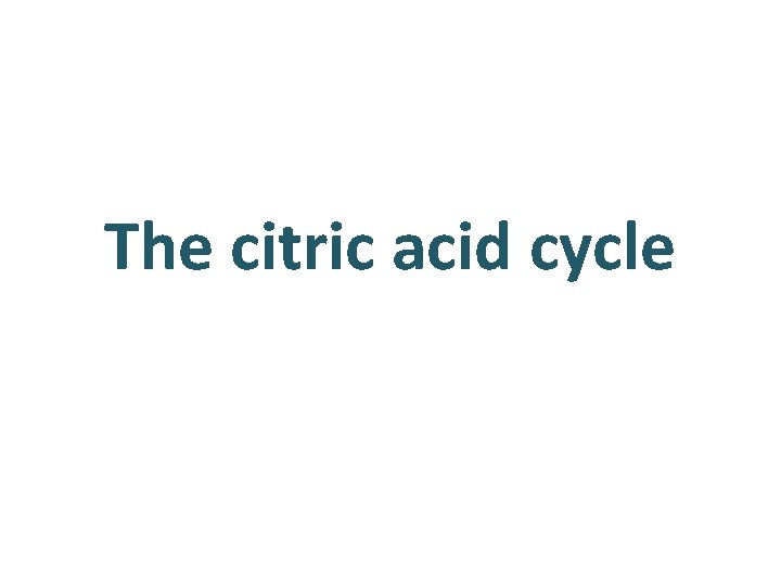The citric acid cycle 