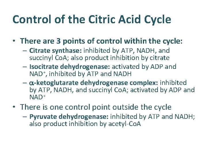 Control of the Citric Acid Cycle • There are 3 points of control within