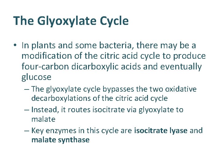 The Glyoxylate Cycle • In plants and some bacteria, there may be a modification