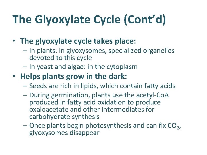 The Glyoxylate Cycle (Cont’d) • The glyoxylate cycle takes place: – In plants: in