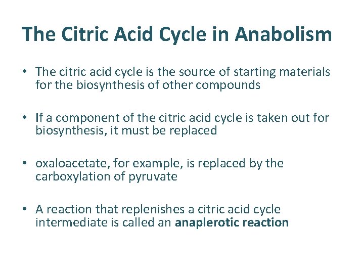 The Citric Acid Cycle in Anabolism • The citric acid cycle is the source