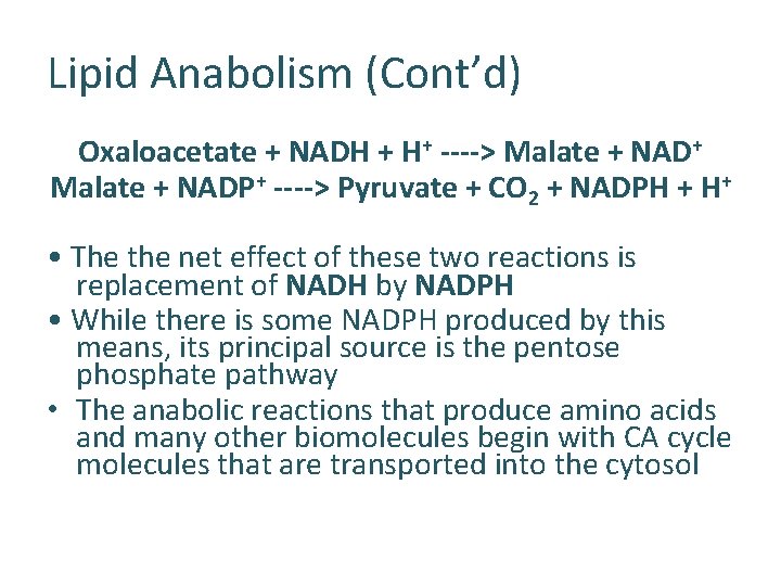 Lipid Anabolism (Cont’d) Oxaloacetate + NADH + H+ ----> Malate + NAD+ Malate +