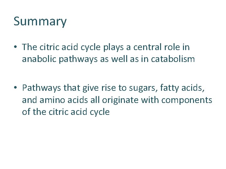 Summary • The citric acid cycle plays a central role in anabolic pathways as