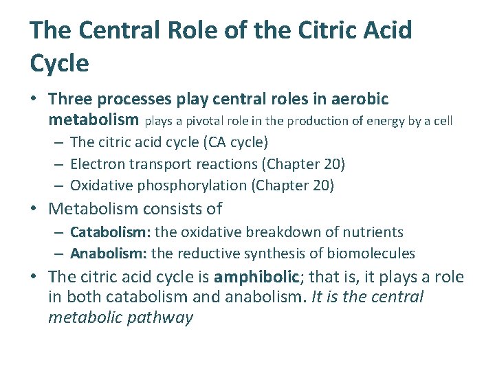 The Central Role of the Citric Acid Cycle • Three processes play central roles