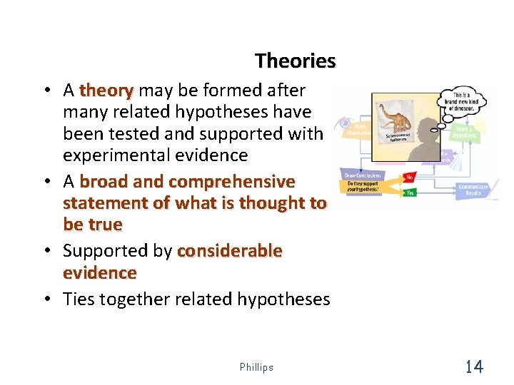 Theories • A theory may be formed after many related hypotheses have been tested Theories • A theory may be formed after many related hypotheses have been tested
