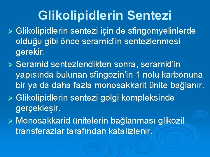 Glikolipidlerin Sentezi Glikolipidlerin sentezi için de sfingomyelinlerde olduğu gibi önce seramid’in sentezlenmesi gerekir. Ø