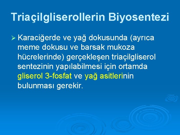 Triaçilgliserollerin Biyosentezi Ø Karaciğerde ve yağ dokusunda (ayrıca meme dokusu ve barsak mukoza hücrelerinde)