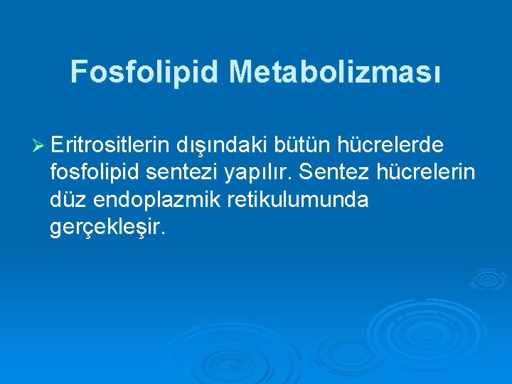 Fosfolipid Metabolizması Ø Eritrositlerin dışındaki bütün hücrelerde fosfolipid sentezi yapılır. Sentez hücrelerin düz endoplazmik