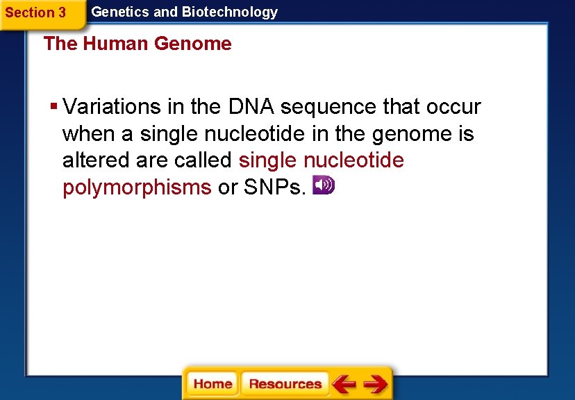 Section 3 Genetics and Biotechnology The Human Genome § Variations in the DNA sequence