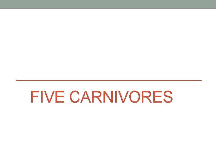 FIVE CARNIVORES 