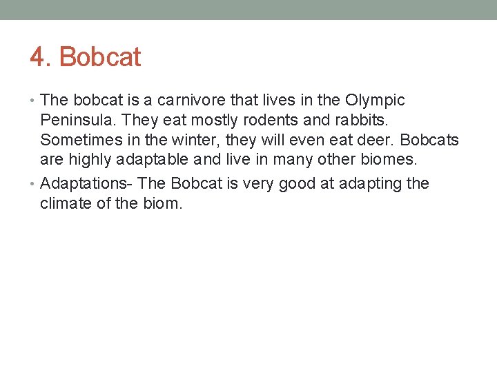 4. Bobcat • The bobcat is a carnivore that lives in the Olympic Peninsula.