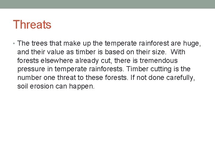 Threats • The trees that make up the temperate rainforest are huge, and their