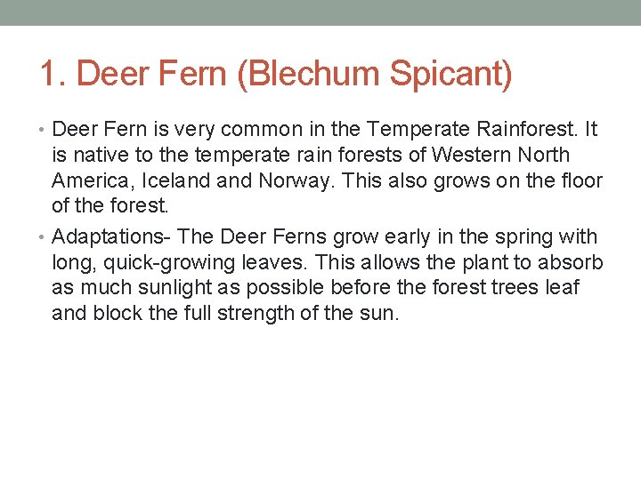 1. Deer Fern (Blechum Spicant) • Deer Fern is very common in the Temperate