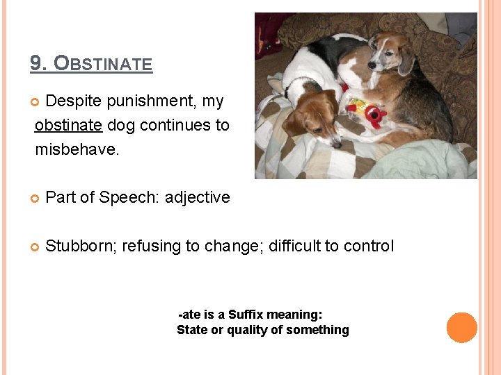 9. OBSTINATE Despite punishment, my obstinate dog continues to misbehave. Part of Speech: adjective