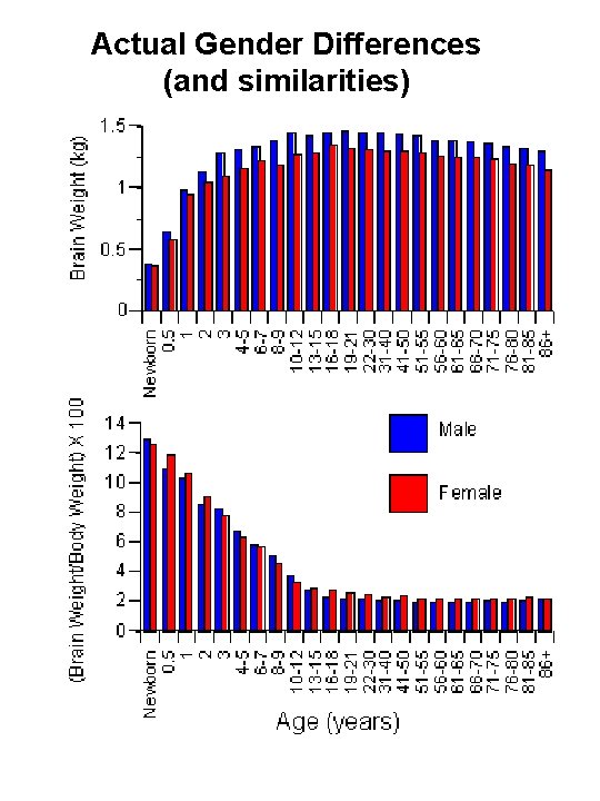 Actual Gender Differences (and similarities) 