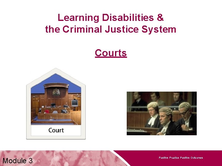 Learning Disabilities & the Criminal Justice System Courts Module 3 Positive Practice Positive Outcomes