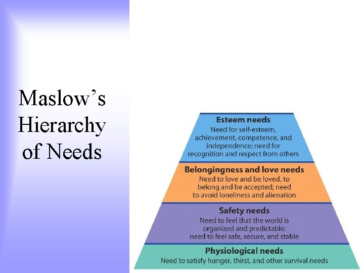 Maslow’s Hierarchy of Needs 