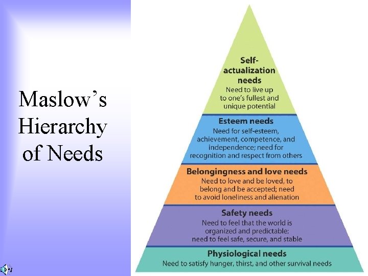 Maslow’s Hierarchy of Needs 