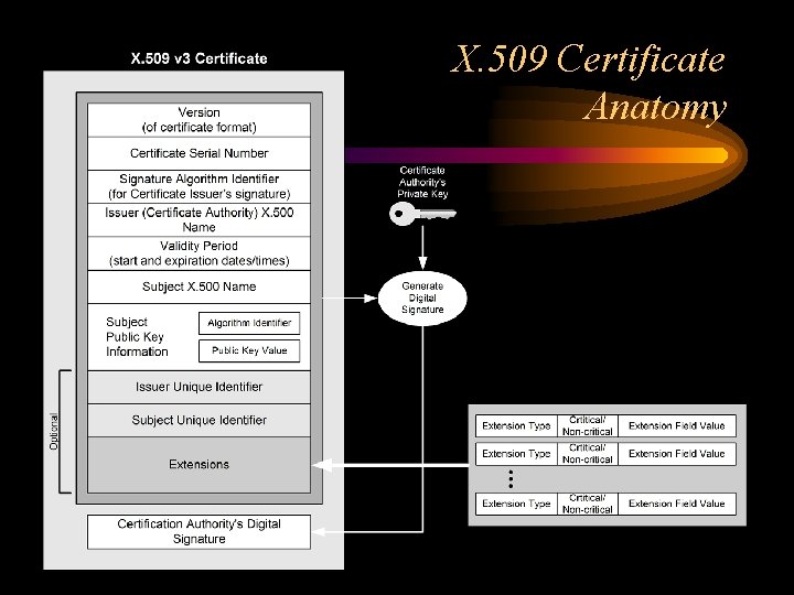 X. 509 Certificate Anatomy 