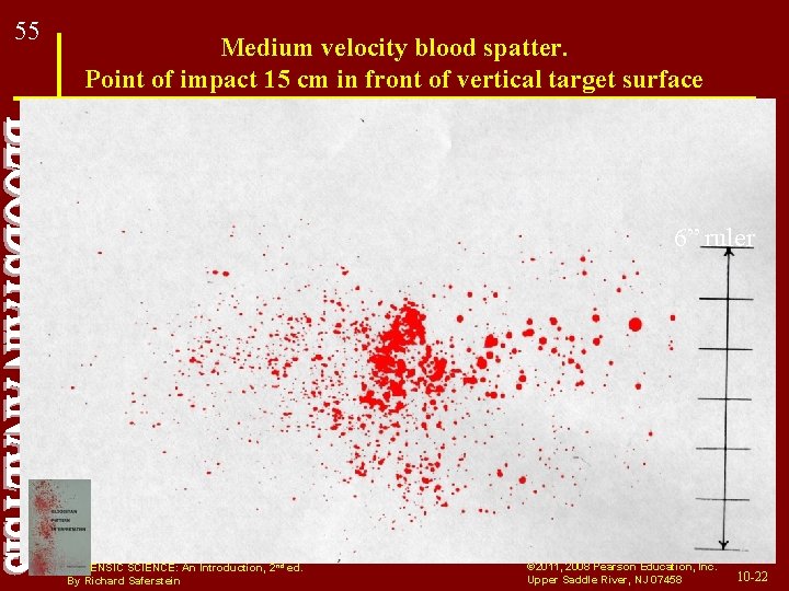 55 Medium velocity blood spatter. Point of impact 15 cm in front of vertical