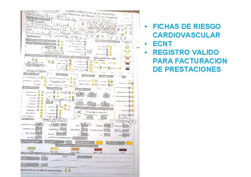  • FICHAS DE RIESGO CARDIOVASCULAR • ECNT • REGISTRO VALIDO PARA FACTURACION DE