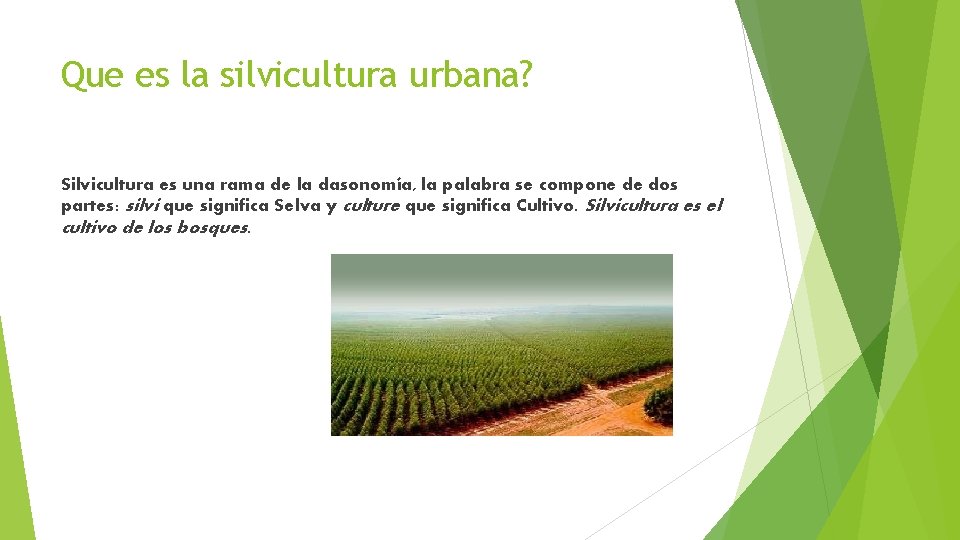 Que es la silvicultura urbana? Silvicultura es una rama de la dasonomía, la palabra