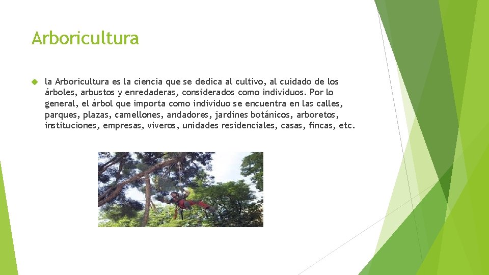 Arboricultura la Arboricultura es la ciencia que se dedica al cultivo, al cuidado de