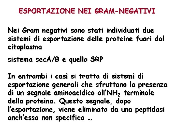ESPORTAZIONE NEI GRAM-NEGATIVI Nei Gram negativi sono stati individuati due sistemi di esportazione delle