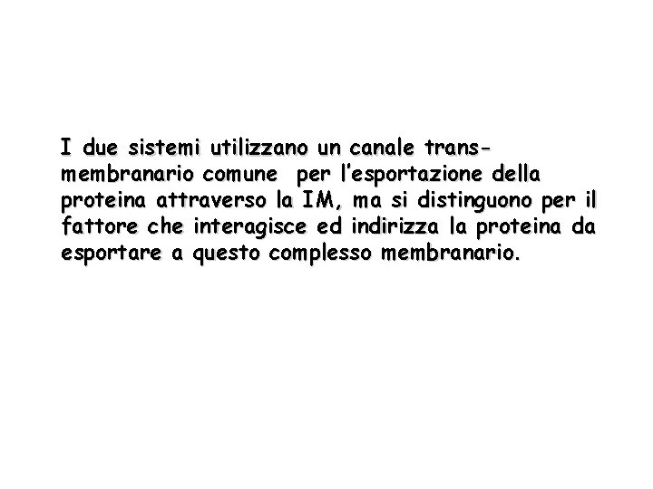 I due sistemi utilizzano un canale transmembranario comune per l’esportazione della proteina attraverso la