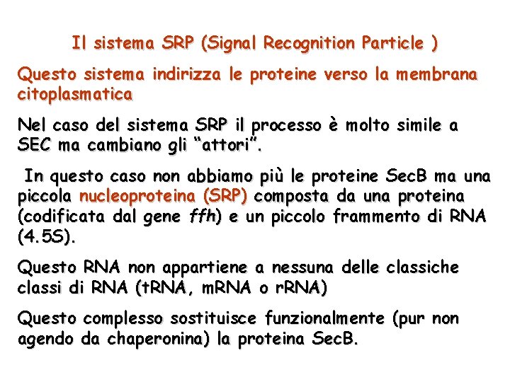 Il sistema SRP (Signal Recognition Particle ) Questo sistema indirizza le proteine verso la