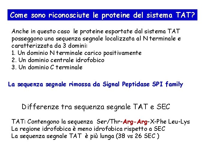 Come sono riconosciute le proteine del sistema TAT? Anche in questo caso le proteine