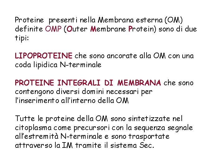 Proteine presenti nella Membrana esterna (OM) definite OMP (Outer Membrane Protein) sono di due