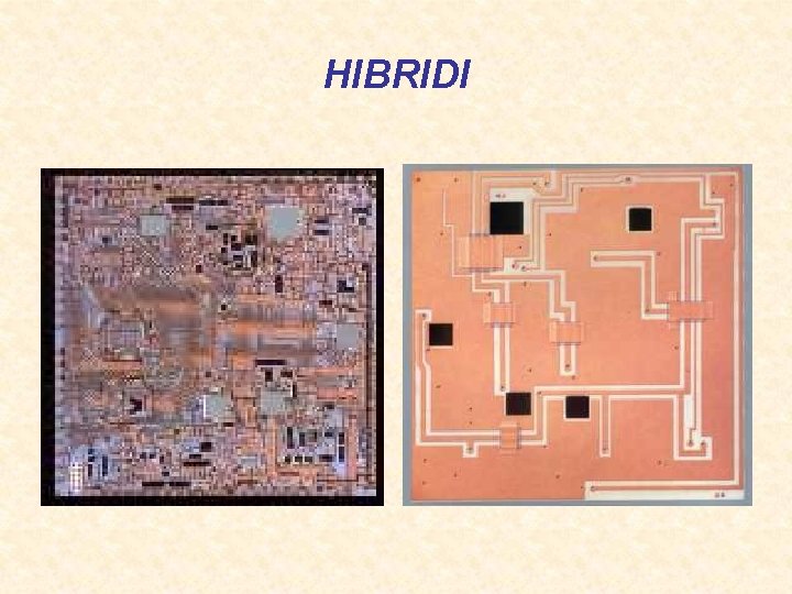 HIBRIDI 