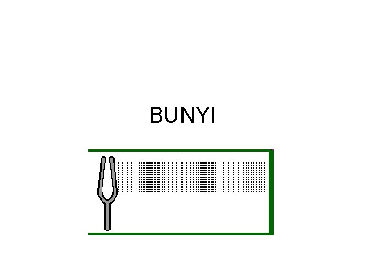 BUNYI 