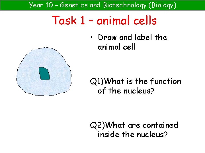 Year 10 – Genetics and Biotechnology (Biology) Task 1 – animal cells • Draw