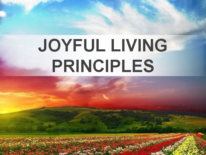 JOYFUL LIVING PRINCIPLES 