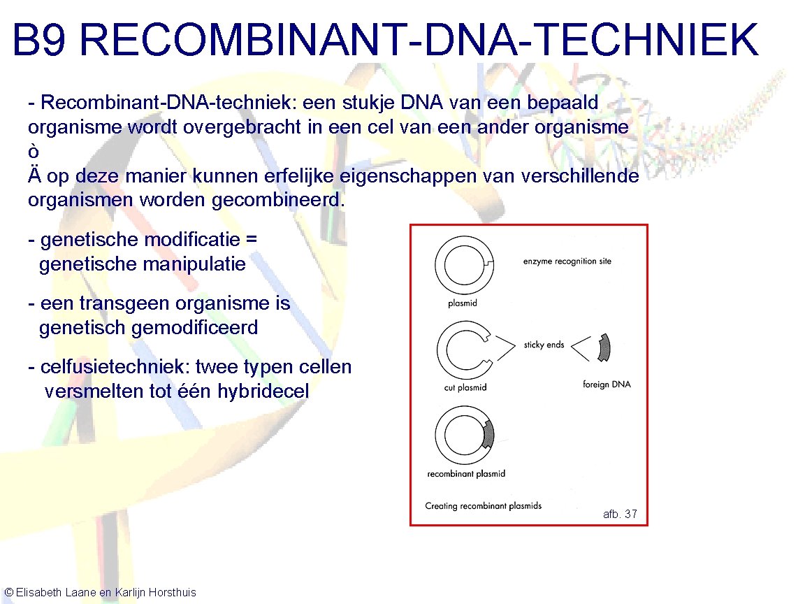 B 9 RECOMBINANT-DNA-TECHNIEK - Recombinant-DNA-techniek: een stukje DNA van een bepaald organisme wordt overgebracht