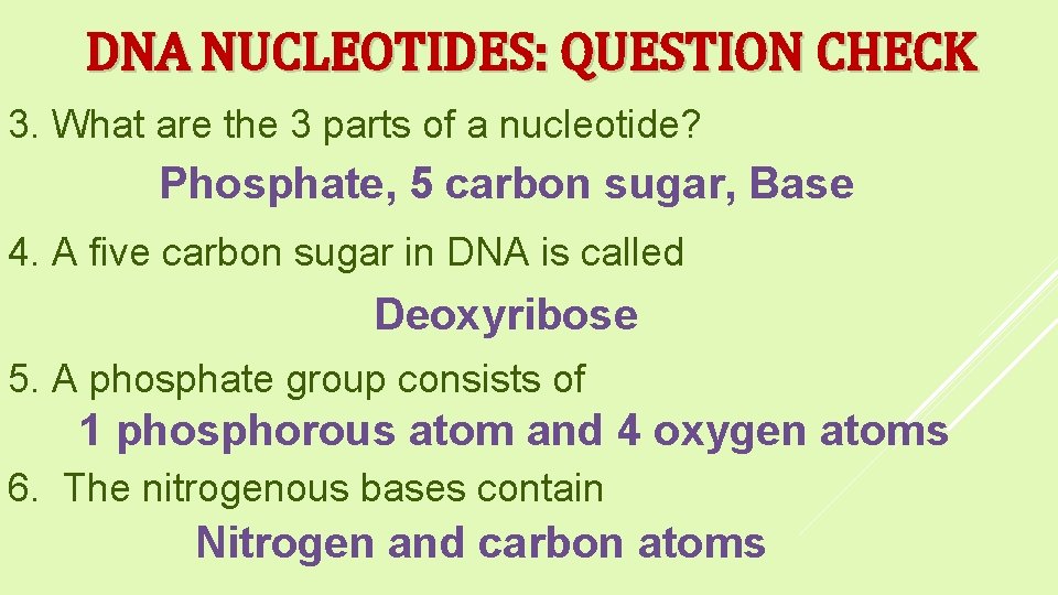 DNA NUCLEOTIDES: QUESTION CHECK 3. What are the 3 parts of a nucleotide? Phosphate,