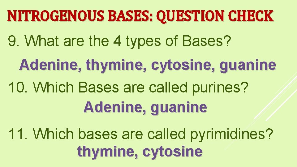 NITROGENOUS BASES: QUESTION CHECK 9. What are the 4 types of Bases? Adenine, thymine,