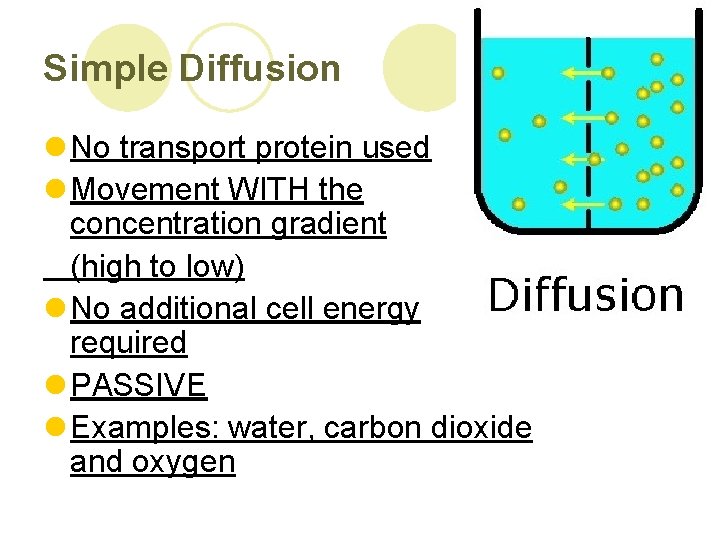 Simple Diffusion l No transport protein used l Movement WITH the concentration gradient (high