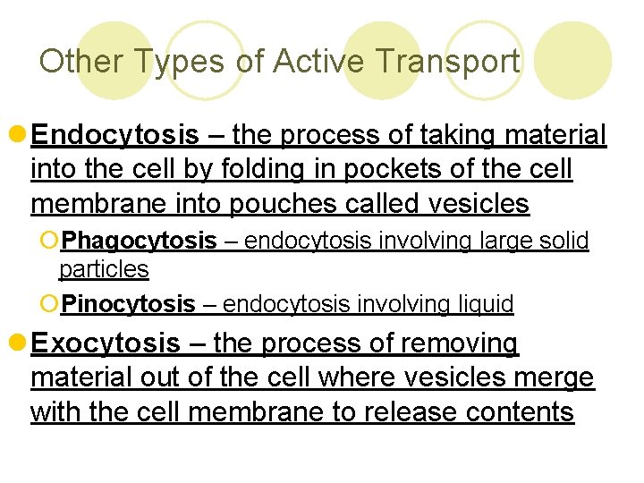 Other Types of Active Transport l Endocytosis – the process of taking material into