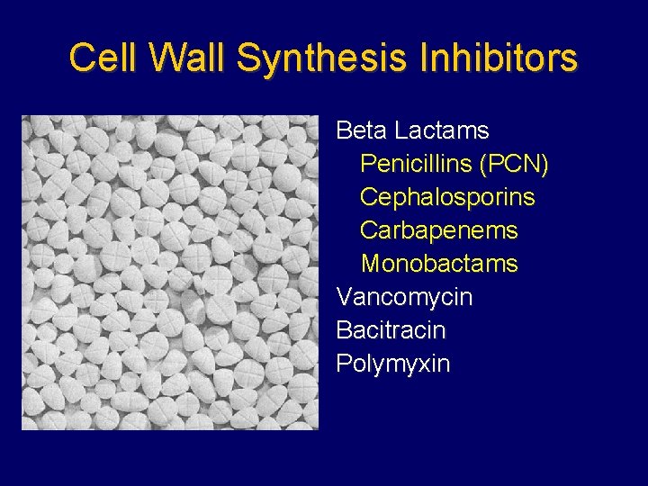 Cell Wall Synthesis Inhibitors Beta Lactams Penicillins (PCN) Cephalosporins Carbapenems Monobactams Vancomycin Bacitracin Polymyxin