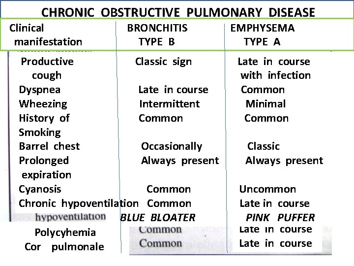 CHRONIC OBSTRUCTIVE PULMONARY DISEASE Clinical manifestation BRONCHITIS TYPE B Productive Classic sign cough Dyspnea