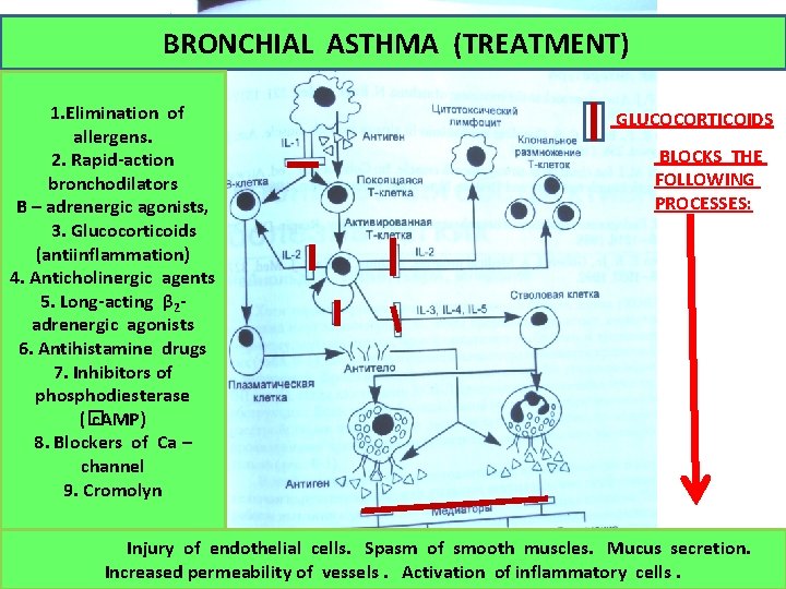 BRONCHIAL ASTHMA (TREATMENT) 1. Elimination of allergens. 2. Rapid-action bronchodilators Β – adrenergic agonists,