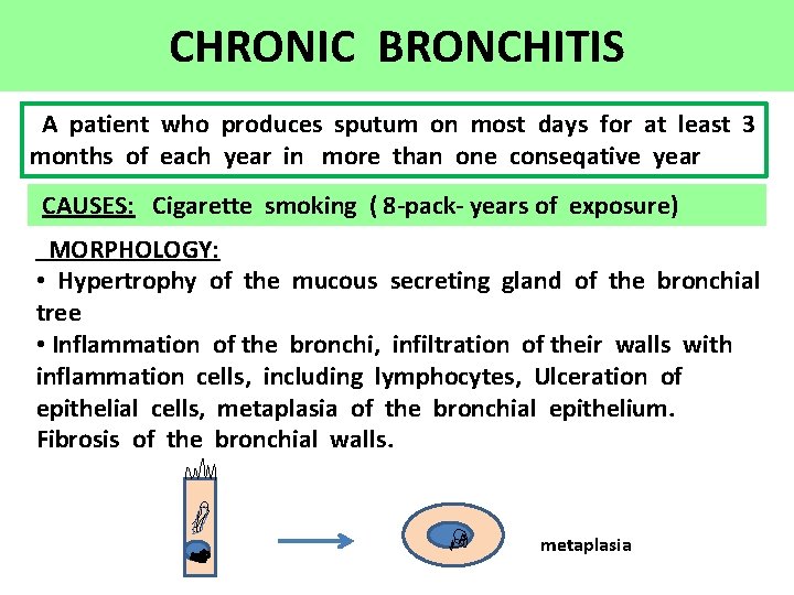 CHRONIC BRONCHITIS A patient who produces sputum on most days for at least 3