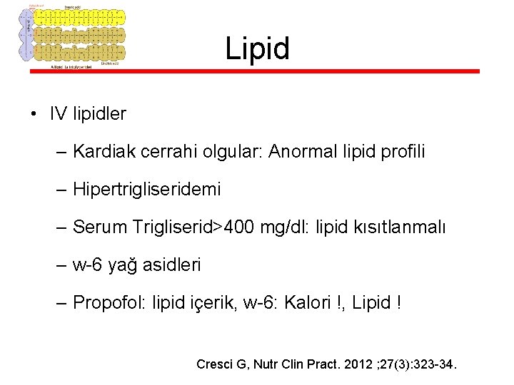 Lipid • IV lipidler – Kardiak cerrahi olgular: Anormal lipid profili – Hipertrigliseridemi –